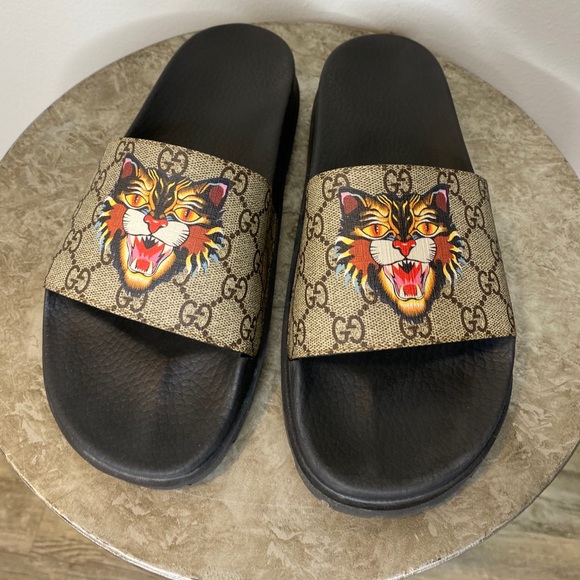 gucci slides cat